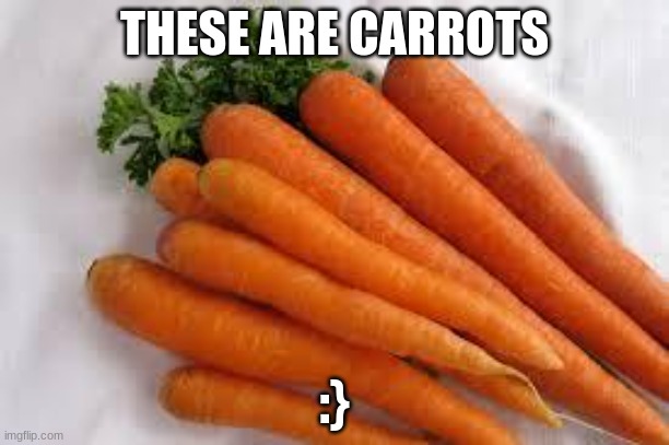 carrots | THESE ARE CARROTS; :} | image tagged in carrots,orange | made w/ Imgflip meme maker