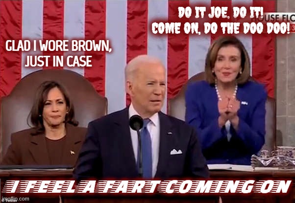 Never trust a politician, or a fart! | DO IT JOE, DO IT!
COME ON, DO THE DOO DOO! GLAD I WORE BROWN,
 JUST IN CASE; I FEEL A FART COMING ON | image tagged in biden,pelosi,kamala harris,poop,fart,state of the union | made w/ Imgflip meme maker