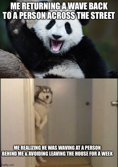 Hi! Oops! Sorry! | ME RETURNING A WAVE BACK TO A PERSON ACROSS THE STREET; ME REALIZING HE WAS WAVING AT A PERSON BEHIND ME & AVOIDING LEAVING THE HOUSE FOR A WEEK | image tagged in panda waving,embarassed husky,waving embarrassed,oops | made w/ Imgflip meme maker