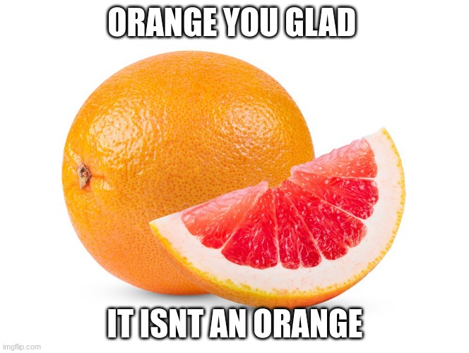 This is not an orange | ORANGE YOU GLAD; IT ISNT AN ORANGE | image tagged in not an orange,orange,grapefruit | made w/ Imgflip meme maker