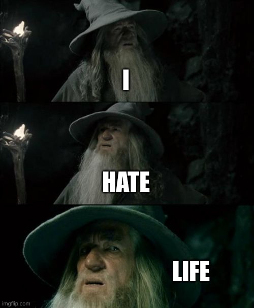 Confused Gandalf Meme | I; HATE; LIFE | image tagged in memes,confused gandalf | made w/ Imgflip meme maker