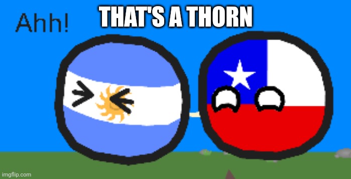 Argentinaball getting pierced | THAT'S A THORN | image tagged in argentinaball getting pierced | made w/ Imgflip meme maker