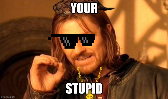One Does Not Simply | YOUR; STUPID | image tagged in memes,one does not simply | made w/ Imgflip meme maker