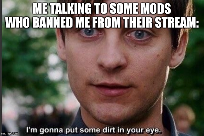 I'm gonna put some dirt in your eye | ME TALKING TO SOME MODS WHO BANNED ME FROM THEIR STREAM: | image tagged in i'm gonna put some dirt in your eye | made w/ Imgflip meme maker