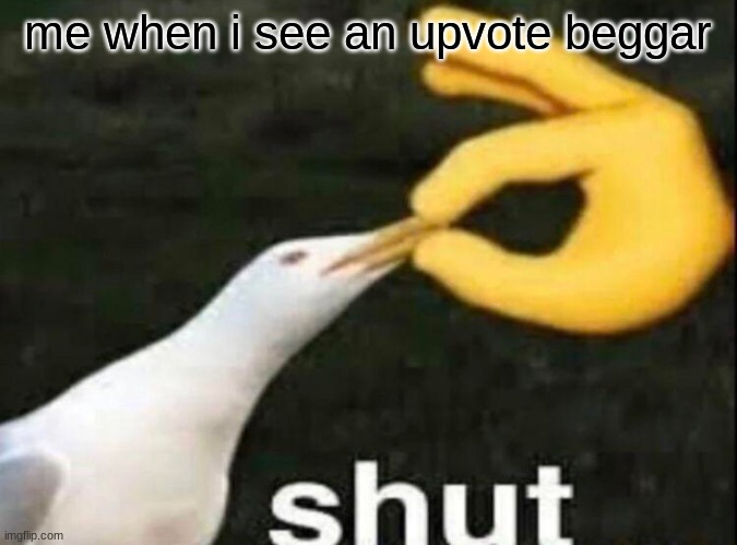 SHUT | me when i see an upvote beggar | image tagged in shut | made w/ Imgflip meme maker