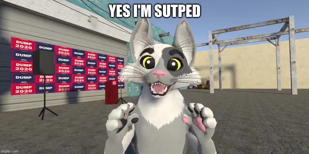 YES I'M SUTPED | made w/ Imgflip meme maker