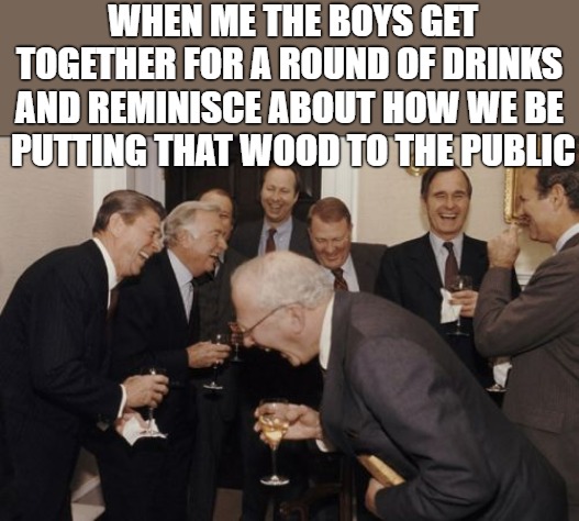 the game |  WHEN ME THE BOYS GET TOGETHER FOR A ROUND OF DRINKS AND REMINISCE ABOUT HOW WE BE  PUTTING THAT WOOD TO THE PUBLIC | image tagged in memes,laughing men in suits | made w/ Imgflip meme maker