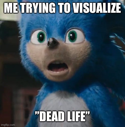 Sonic Movie | ME TRYING TO VISUALIZE ”DEAD LIFE” | image tagged in sonic movie | made w/ Imgflip meme maker
