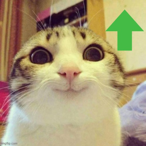 Smiling Cat Meme | image tagged in memes,smiling cat | made w/ Imgflip meme maker