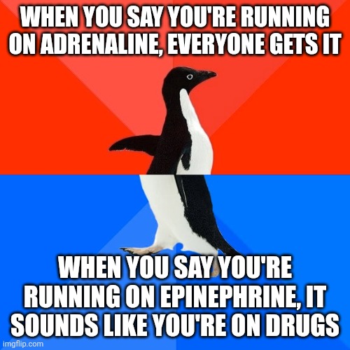 Just saying... | WHEN YOU SAY YOU'RE RUNNING ON ADRENALINE, EVERYONE GETS IT; WHEN YOU SAY YOU'RE RUNNING ON EPINEPHRINE, IT SOUNDS LIKE YOU'RE ON DRUGS | image tagged in socially awesome awkward penguin,e | made w/ Imgflip meme maker
