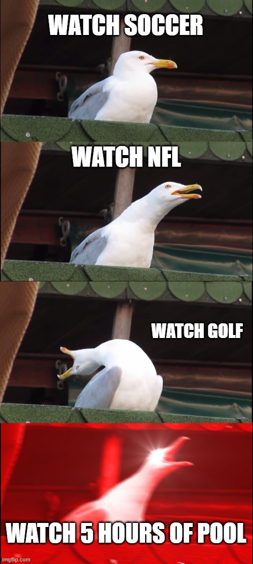 Inhaling Seagull | WATCH SOCCER; WATCH NFL; WATCH GOLF; WATCH 5 HOURS OF POOL | image tagged in memes,inhaling seagull | made w/ Imgflip meme maker