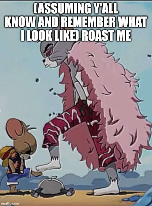 Luffy and doflamingo | (ASSUMING Y'ALL KNOW AND REMEMBER WHAT I LOOK LIKE) ROAST ME | image tagged in luffy and doflamingo | made w/ Imgflip meme maker