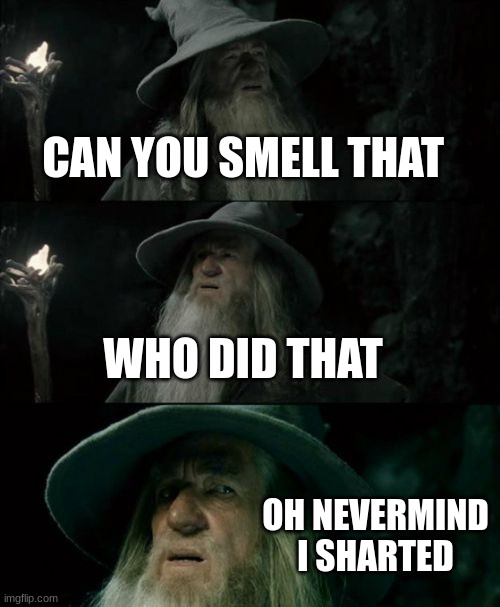 rip is pants | CAN YOU SMELL THAT; WHO DID THAT; OH NEVERMIND I SHARTED | image tagged in memes,confused gandalf | made w/ Imgflip meme maker