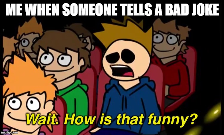 Wait. How Is That Funny? | ME WHEN SOMEONE TELLS A BAD JOKE | image tagged in wait how is that funny | made w/ Imgflip meme maker