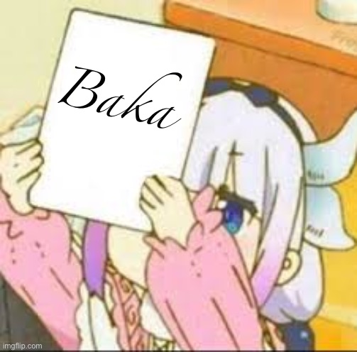 Kanna holding a sign. | Baka | image tagged in kanna holding a sign | made w/ Imgflip meme maker