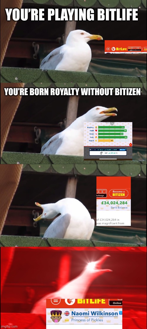 Inhaling Seagull Meme | YOU’RE PLAYING BITLIFE; YOU’RE BORN ROYALTY WITHOUT BITIZEN | image tagged in memes,inhaling seagull | made w/ Imgflip meme maker
