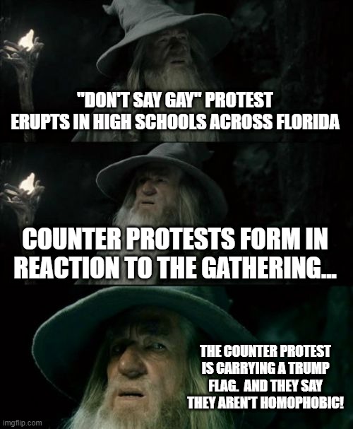 Trump will save us from the GAYS! | "DON'T SAY GAY" PROTEST ERUPTS IN HIGH SCHOOLS ACROSS FLORIDA; COUNTER PROTESTS FORM IN REACTION TO THE GATHERING... THE COUNTER PROTEST IS CARRYING A TRUMP FLAG.  AND THEY SAY THEY AREN'T HOMOPHOBIC! | image tagged in memes,confused gandalf | made w/ Imgflip meme maker