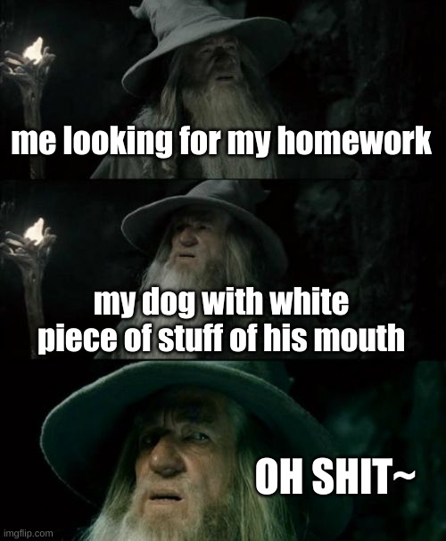 Confused Gandalf |  me looking for my homework; my dog with white piece of stuff of his mouth; OH SHIT~ | image tagged in memes,confused gandalf | made w/ Imgflip meme maker
