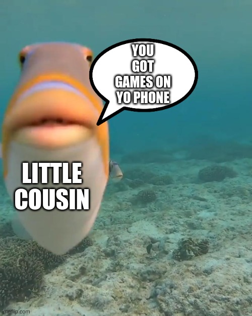 staring fish | YOU GOT GAMES ON YO PHONE; LITTLE COUSIN | image tagged in staring fish | made w/ Imgflip meme maker