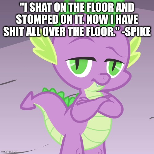 Disappointed Spike (MLP) | "I SHAT ON THE FLOOR AND STOMPED ON IT. NOW I HAVE SHIT ALL OVER THE FLOOR." -SPIKE | image tagged in disappointed spike mlp | made w/ Imgflip meme maker