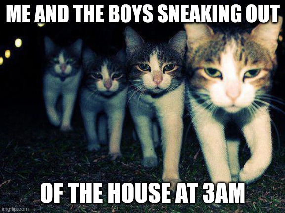 Wrong Neighboorhood Cats Meme | ME AND THE BOYS SNEAKING OUT; OF THE HOUSE AT 3AM | image tagged in memes,wrong neighboorhood cats | made w/ Imgflip meme maker