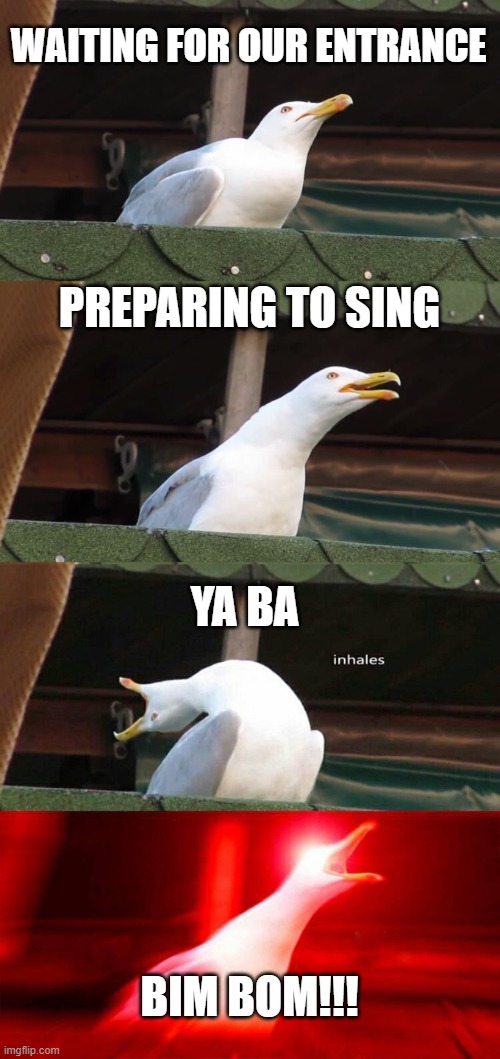 Choir | WAITING FOR OUR ENTRANCE; PREPARING TO SING; YA BA; BIM BOM!!! | image tagged in inhaling seagull 4 red | made w/ Imgflip meme maker