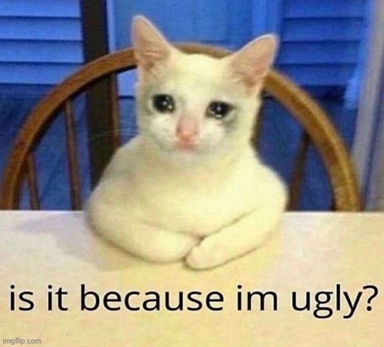 Is it because I'm ugly? | image tagged in is it because i'm ugly | made w/ Imgflip meme maker