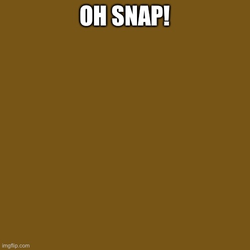 Blank Brown | OH SNAP! | image tagged in blank brown | made w/ Imgflip meme maker