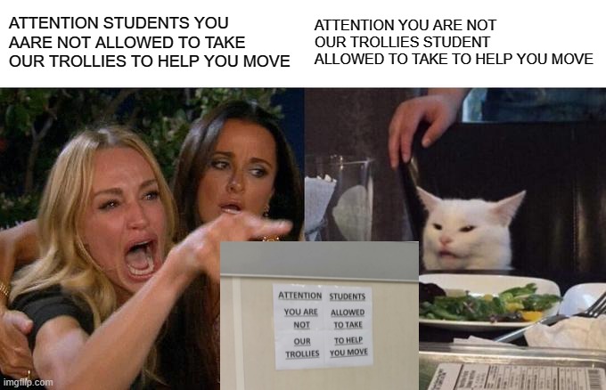 #CatMeme | ATTENTION STUDENTS YOU AARE NOT ALLOWED TO TAKE OUR TROLLIES TO HELP YOU MOVE; ATTENTION YOU ARE NOT OUR TROLLIES STUDENT ALLOWED TO TAKE TO HELP YOU MOVE | image tagged in memes,woman yelling at cat | made w/ Imgflip meme maker