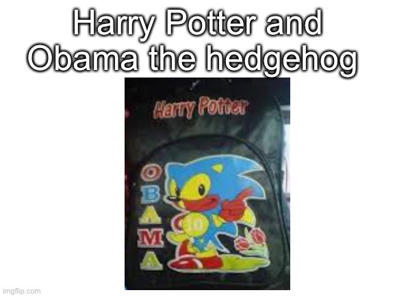 Funny name | Harry Potter and Obama the hedgehog | image tagged in blank white template | made w/ Imgflip meme maker