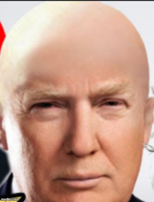 Trump with cancer? | image tagged in hairless trump | made w/ Imgflip meme maker