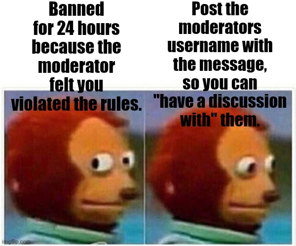 Hey i have an idea! | Banned for 24 hours because the moderator felt you violated the rules. Post the moderators username with the message, so you can "have a discussion with" them. | image tagged in memes,monkey puppet | made w/ Imgflip meme maker
