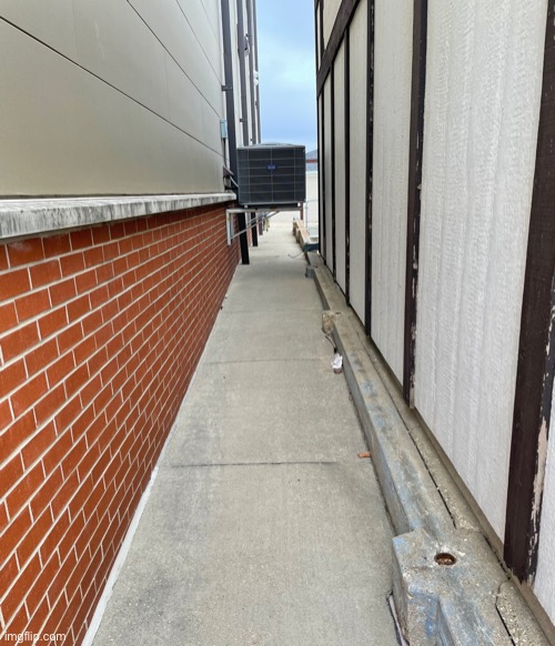 A completely random picture i took on my walk from school | made w/ Imgflip meme maker