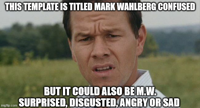 Mark Wahlburg confused | THIS TEMPLATE IS TITLED MARK WAHLBERG CONFUSED; BUT IT COULD ALSO BE M.W. SURPRISED, DISGUSTED, ANGRY OR SAD | image tagged in mark wahlburg confused | made w/ Imgflip meme maker