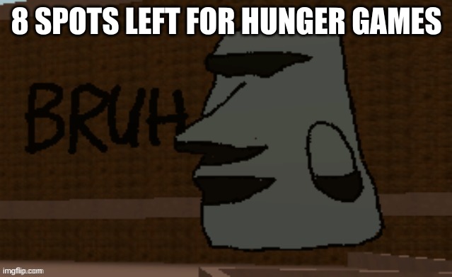 Bruh | 8 SPOTS LEFT FOR HUNGER GAMES | image tagged in bruh | made w/ Imgflip meme maker