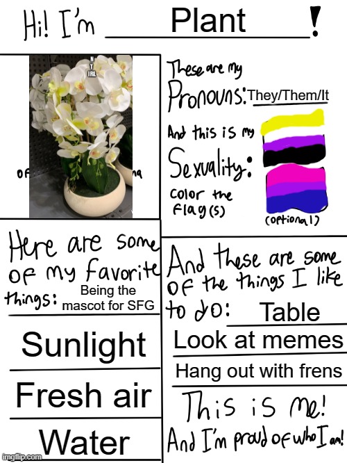 Here is Plant's official profile! | Plant; They/Them/It; Being the mascot for SFG; Table; Sunlight; Look at memes; Hang out with frens; Fresh air; Water | image tagged in lgbtq stream account profile | made w/ Imgflip meme maker
