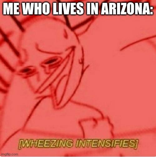Wheeze | ME WHO LIVES IN ARIZONA: | image tagged in wheeze | made w/ Imgflip meme maker