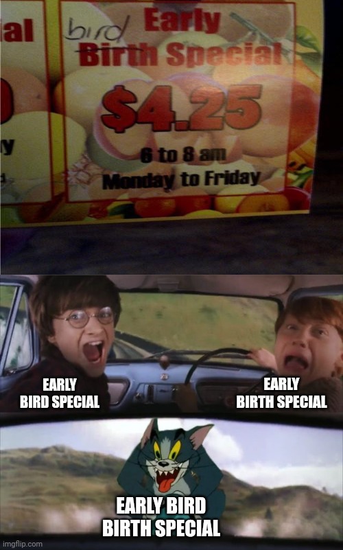 Early bird birth special | EARLY BIRTH SPECIAL; EARLY BIRD SPECIAL; EARLY BIRD BIRTH SPECIAL | image tagged in tom chasing harry and ron weasly,early bird,birth,special,you had one job,memes | made w/ Imgflip meme maker