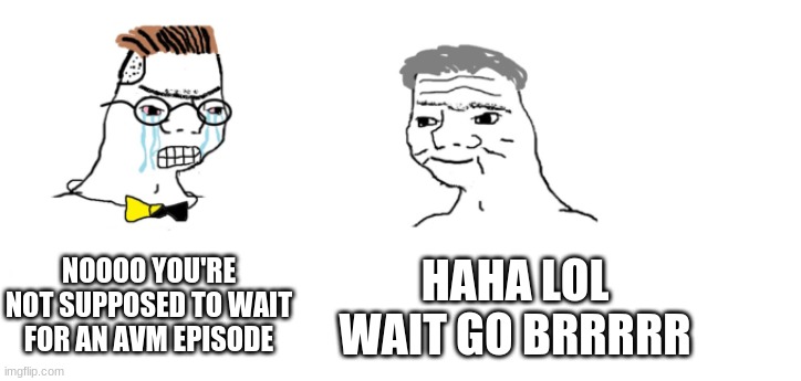 Upvote if it's March 5th go on i'll wait | NOOOO YOU'RE NOT SUPPOSED TO WAIT FOR AN AVM EPISODE; HAHA LOL WAIT GO BRRRRR | image tagged in nooo haha go brrr | made w/ Imgflip meme maker