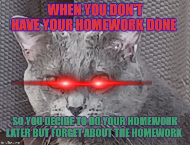 I was going to do my homework later I forgot | WHEN YOU DON'T HAVE YOUR HOMEWORK DONE; SO YOU DECIDE TO DO YOUR HOMEWORK LATER BUT FORGET ABOUT THE HOMEWORK | image tagged in nicholas | made w/ Imgflip meme maker
