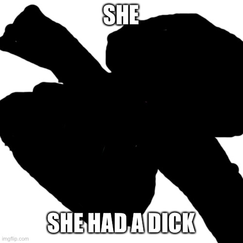 m | SHE; SHE HAD A DICK | image tagged in ralsei squished | made w/ Imgflip meme maker