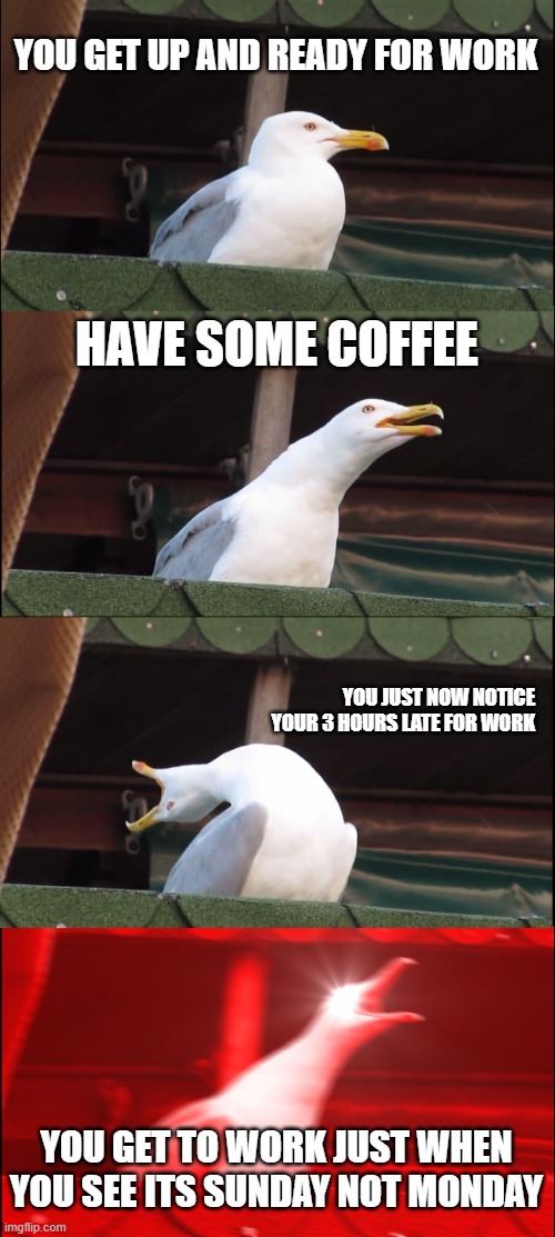 when you go to work on the wrong day | YOU GET UP AND READY FOR WORK; HAVE SOME COFFEE; YOU JUST NOW NOTICE YOUR 3 HOURS LATE FOR WORK; YOU GET TO WORK JUST WHEN YOU SEE ITS SUNDAY NOT MONDAY | image tagged in memes,inhaling seagull | made w/ Imgflip meme maker