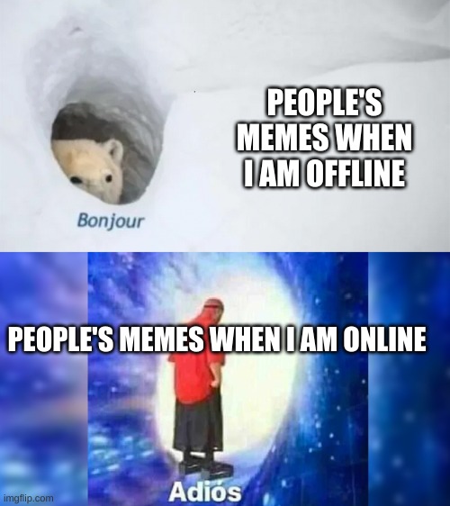 bonjur adios | PEOPLE'S MEMES WHEN I AM OFFLINE; PEOPLE'S MEMES WHEN I AM ONLINE | image tagged in bonjur adios | made w/ Imgflip meme maker