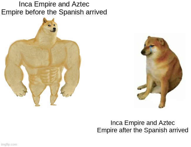Buff Doge vs. Cheems Meme | Inca Empire and Aztec Empire before the Spanish arrived; Inca Empire and Aztec Empire after the Spanish arrived | image tagged in memes,buff doge vs cheems | made w/ Imgflip meme maker