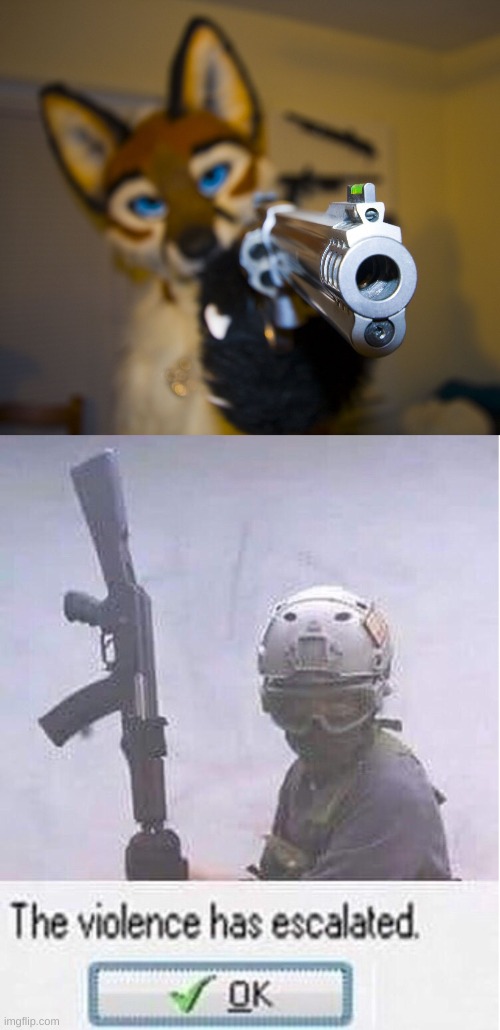 image tagged in furry with gun,pilot the violence has escalated | made w/ Imgflip meme maker