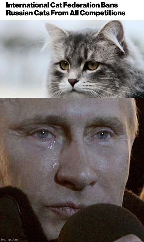 Sanction DS ntz | image tagged in funny memes | made w/ Imgflip meme maker