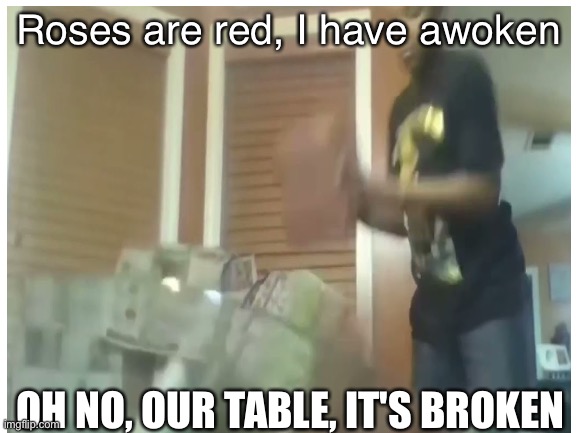 we've all seen this image | Roses are red, I have awoken; OH NO, OUR TABLE, IT'S BROKEN | image tagged in oh no our table its broken | made w/ Imgflip meme maker