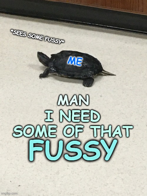 Turtle needs some fussy | *SEES SOME FUSSY*; ME; MAN; I NEED SOME OF THAT; FUSSY | image tagged in fussy,turtle,funny memes,wilbur soot meme,wilbursoot | made w/ Imgflip meme maker