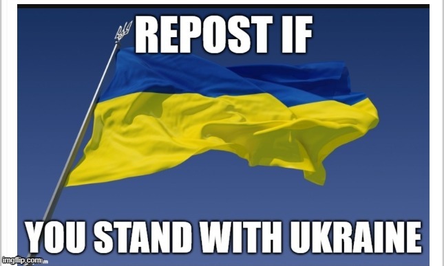 Repost Bois | image tagged in ukrainian lives matter | made w/ Imgflip meme maker