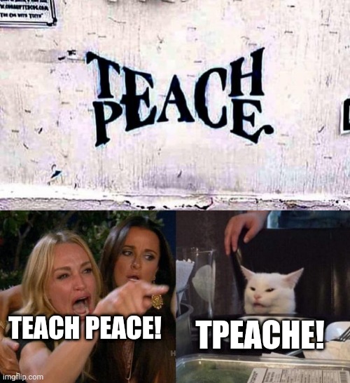 TEACH PE? TPEACHÉ?? TH'PEACE? | TPEACHE! TEACH PEACE! | image tagged in memes,woman yelling at cat | made w/ Imgflip meme maker